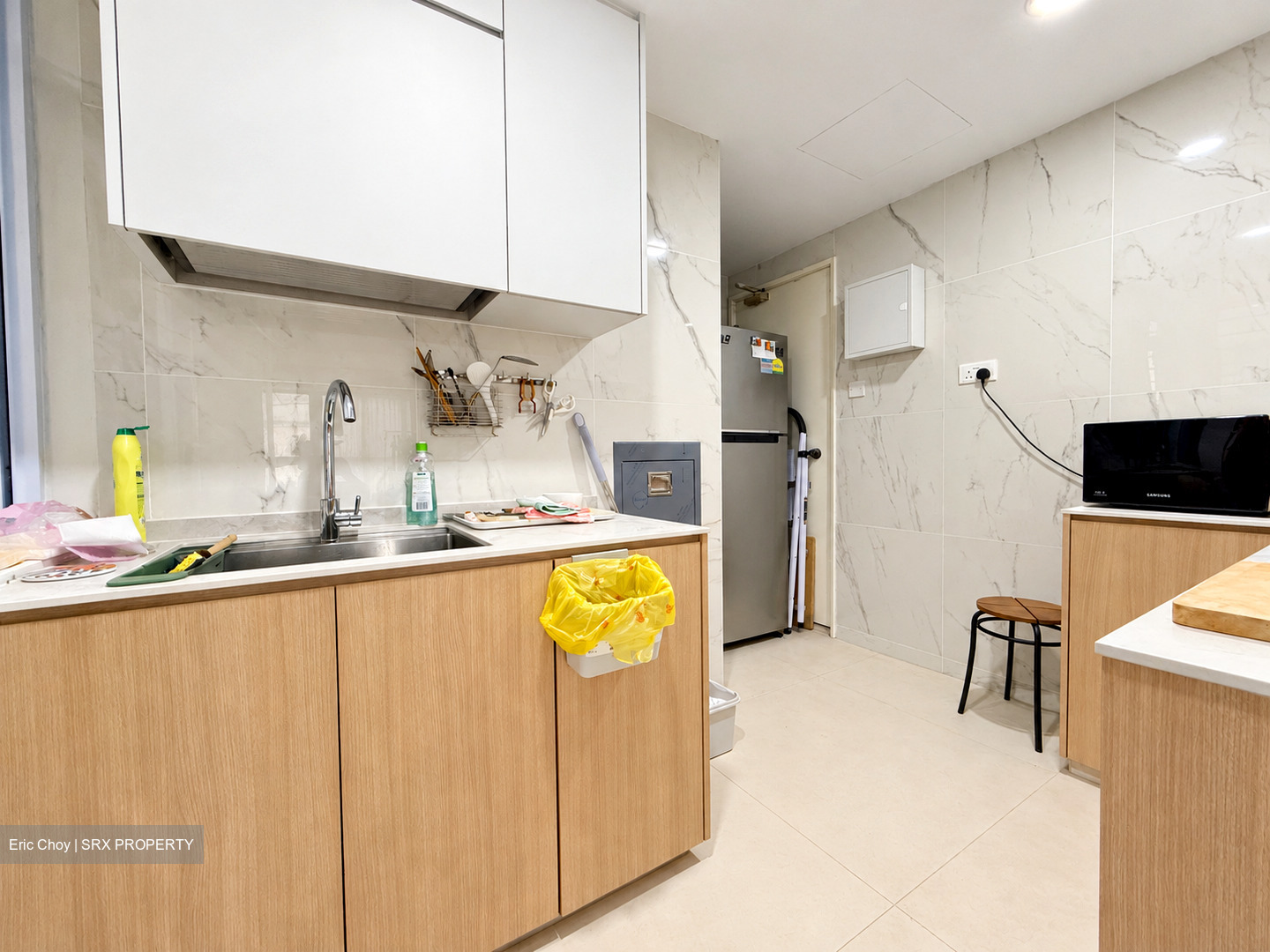 The Tanamera (D16), Condominium #634870601